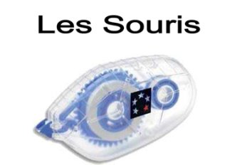 B.10 Souris correction