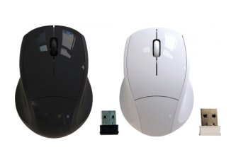 Lot de 12 Mini souris sans fil