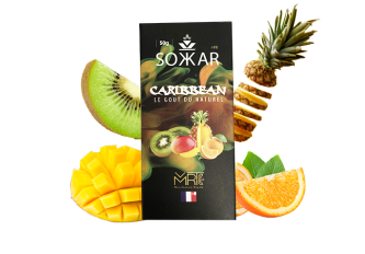 C.10 Paquets 50g Sokkar Caribbean