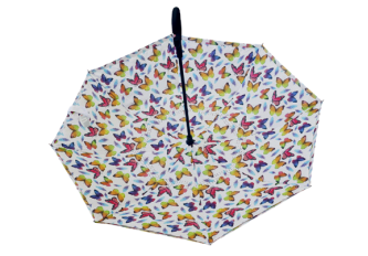 L.3 Parapluies papillons