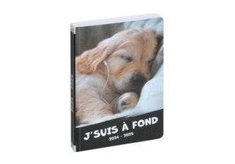 Agenda Journalier 22x17 | Pets