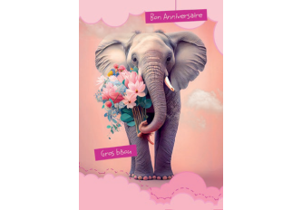 Paquet de 6 cartes anniversaire éléphant