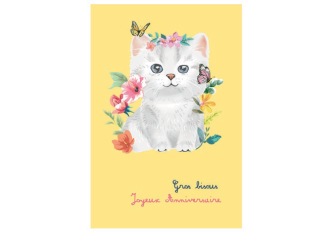 Paquet de 6 cartes anniversaire chaton