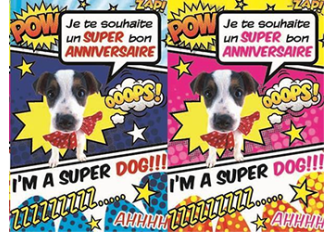 Paquet de 6 cartes anniversaire chien