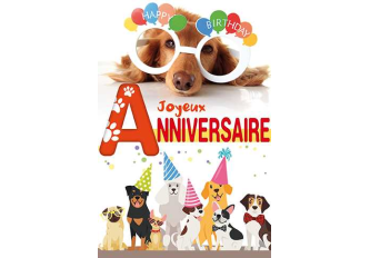 Paquet de 6 cartes double anniversaire chien