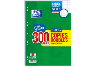 Etuis 300 Copies Doubles Oxford A4 Grands Carreaux