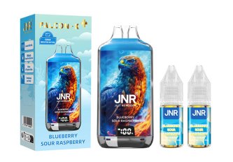 B.5 Falcon X Plus – 28K Puff – 20mg – Myrtille framboise acidulée