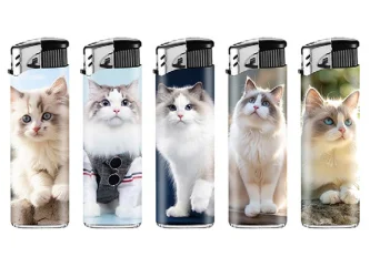 B.50 Briquets LUX Cats