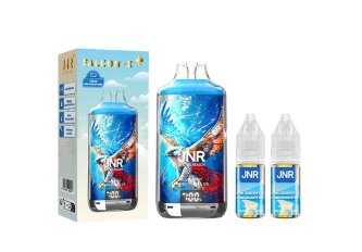 B.5 Falcon X Plus – 28K Puff – 20mg – Myrtille grenade glacée