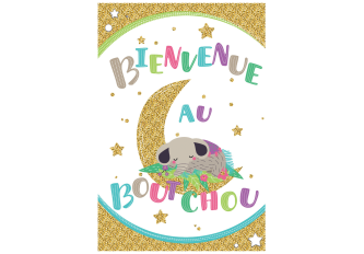Paquet de 6 cartes Naissance Bienvenue au boutchou