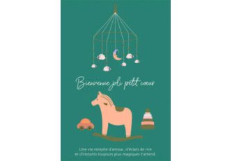 P.6 Carnet de Naissance