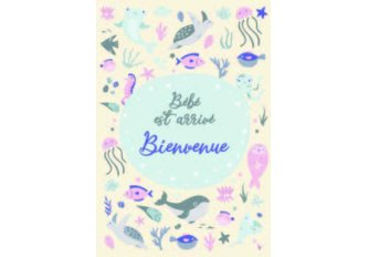 P.6 Carnet de Naissance