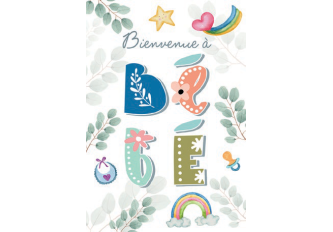 Paquet de 6 cartes double naissance nature