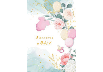 Paquet de 6 cartes double naissance roses ballons