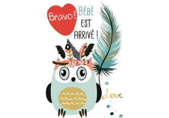 Paquet de 6 cartes double naissance