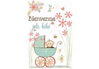 Paquet de 6 cartes double naissance