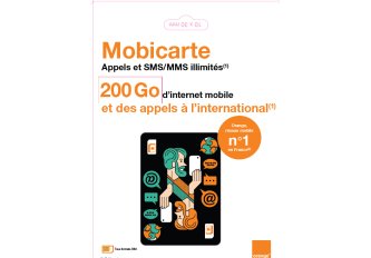 Carte SIM Orange Offre 200Go + SMS/MMS