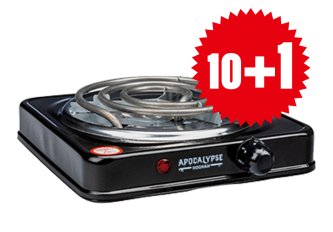 10 Allume-charbons naturel TSAR + 1 offert