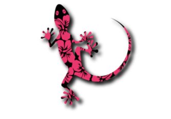 P.10 Stickers Lézard rose