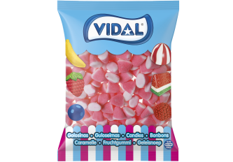 Sac de Bisous 1KG